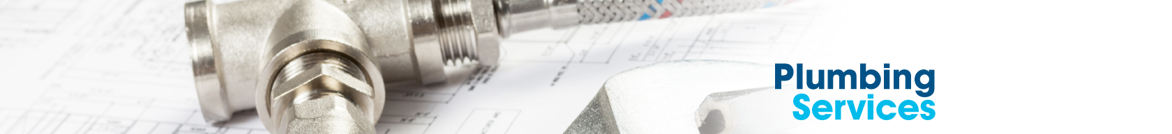 Plumbing Services Fareham